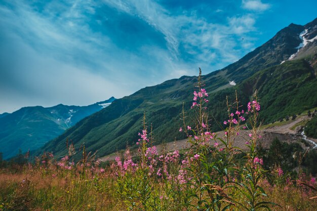 Elbrus, Góry Latem. Góry Kaukazu Od Góry Elbrus