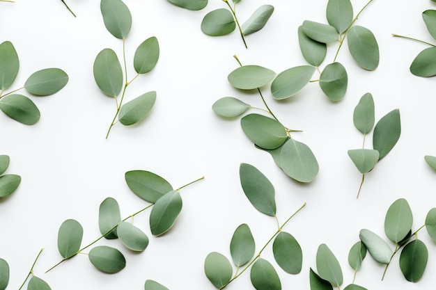 Elegantny eukalipt minimalistyczny dekor kwiatowy w zielonym liście Web Banner
