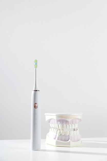 Elektroniczna szczoteczka do zębów obok modelu szczęki z zębami na jasnym tle łazienki minimal...