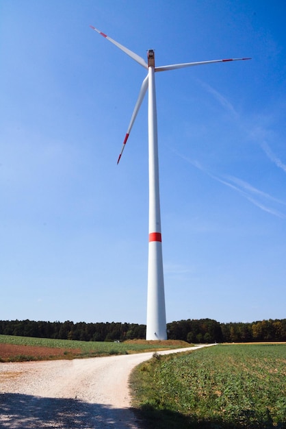 Elektrownia wiatrowa lub park wiatrowy z wysoką turbiną wiatrową do wytwarzania energii elektrycznej Koncepcja zielonej energii