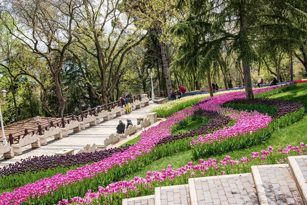 Emirgan Park Stambuł