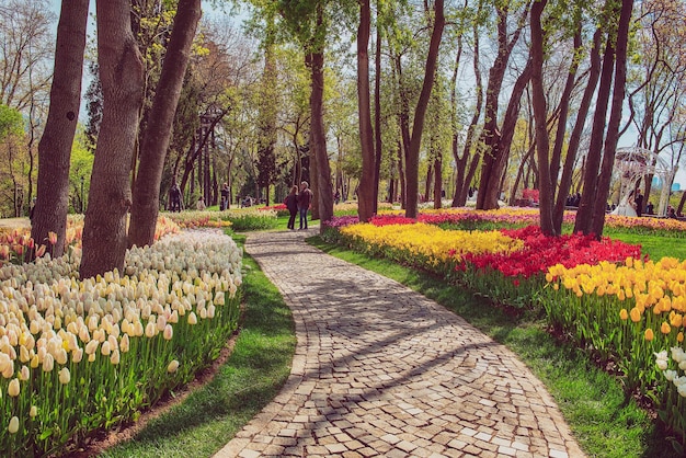 Emirgan Park Stambuł