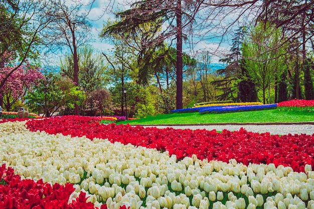 Emirgan Park Stambuł