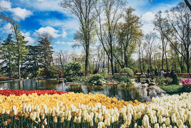 Emirgan Park Stambuł