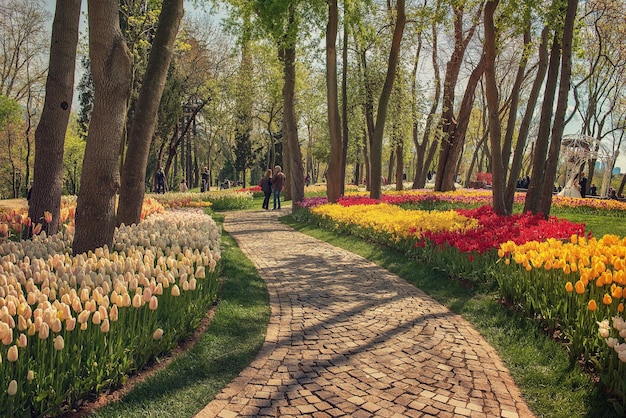 Emirgan Park Stambuł