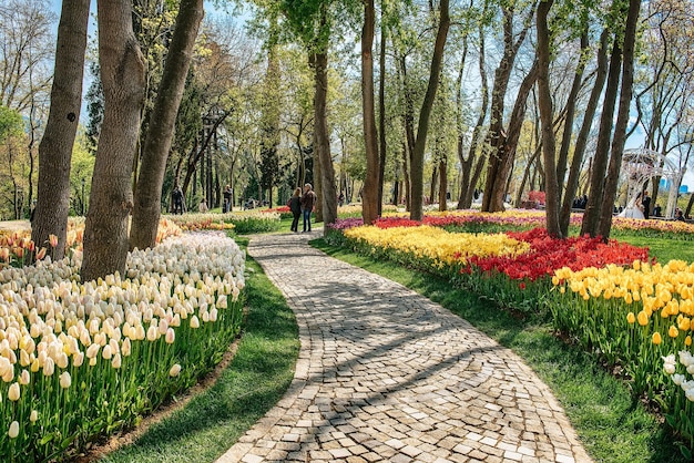 Emirgan Park Stambuł