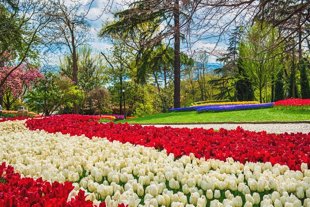 Zdjęcie emirgan park stambuł