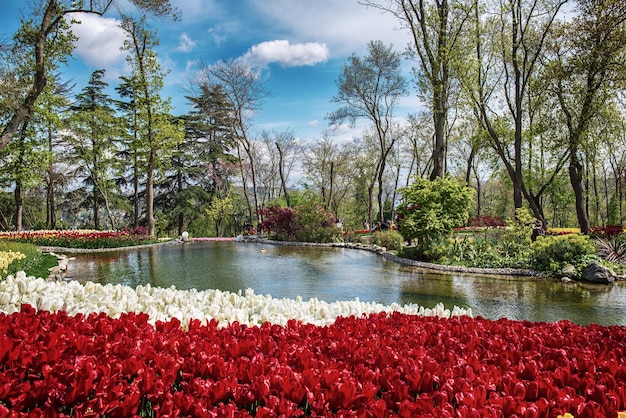 Emirgan Park Stambuł