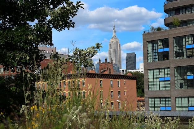 Empire State Building Z High Line, Manhattan, Nowy Jork, Usa