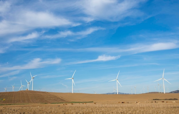 Energia i ekologia, Turbiny wiatrowe, Park Eolic. Zielona ekologiczna energetyka energetyczna. Farma wiatrowa e