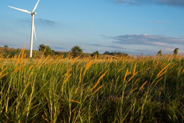 Energia odnawialna z turbinami wiatrowymi