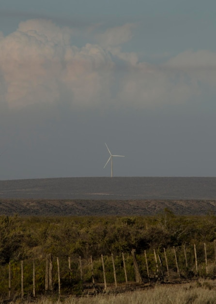 Energia wiatrowa na argentyńskich trasach młyny wiatrowe czyste i zrównoważone turbiny wiatrowe