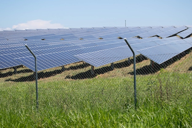 Energia zielona z farmy słonecznej z światła słonecznego pokazuje dużo płytki ogniw słonecznych selektywne skupienie