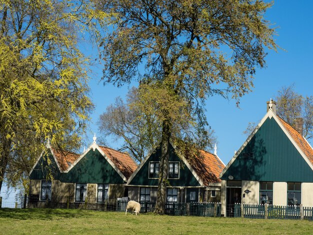 Zdjęcie enkhuizen w holandii