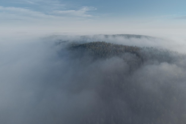 Zdjęcie epicki atmosferyczny widok na mglistą tajgę