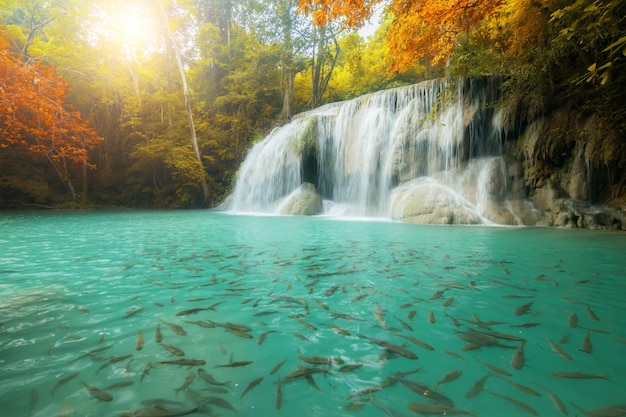 Erawan siklawa, piękna siklawa w tropikalnym lesie deszczowym, Kanchanaburi prowincja, Tajlandia