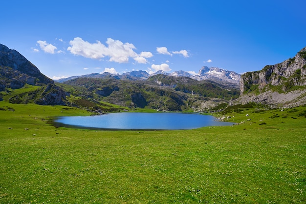 Ercina jezioro przy Picos de Europa w Asturias Hiszpania