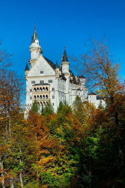 Zdjęcie ermany bavaria słynne miejsce historyczne zamek neuschwanstein