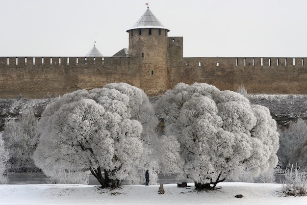 Estonia mapy i flagi