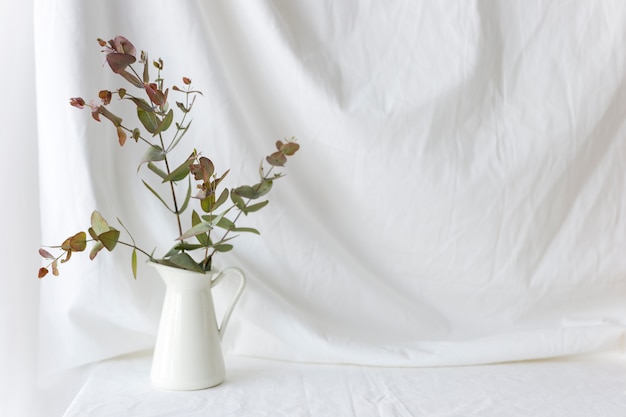 Zdjęcie eucalyptus populus gałąź w białej ceramicznej wazie nad białym zasłony tłem