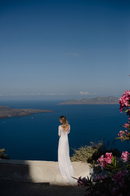 Europa Grecja Santorini podróży wakacje. Kobieta patrzeje widok na sławnym podróży miejscu przeznaczenia. Elegancka młoda dama żyjąca stylem fantazyjnym odrzutowym ubrana w sukienkę na święta. Niesamowity widok na morze i kalderę