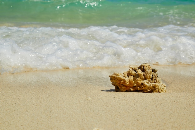 Zdjęcie fala morza na piaszczystej plaży