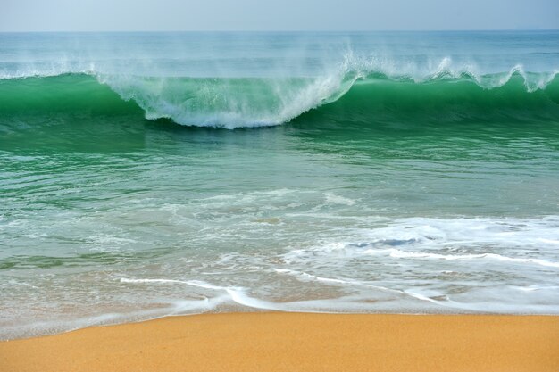 Zdjęcie fala oceanu na piaszczystej plaży