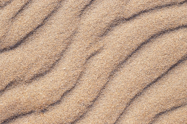 Falający wzór wydm na złotym piasku wzór tekstury tła dla tekstu