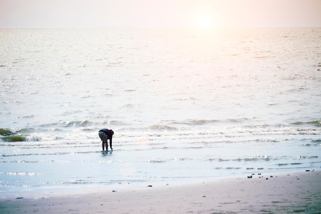 Fale morskie na plaży wieczorem?