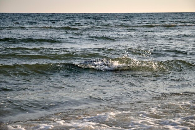 Fale morskie plaża piasek surf