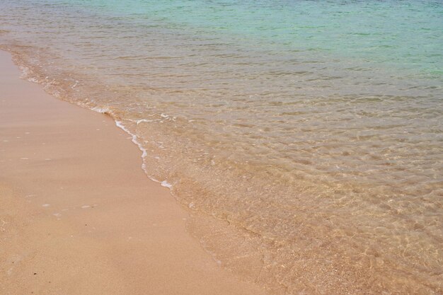 Fale na tropikalnej, piaszczystej plaży nad Morzem Czerwonym