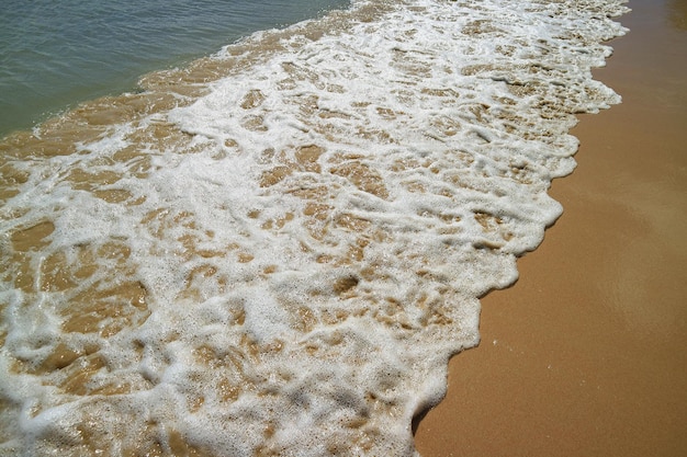 Fale oceanu pluskające się na piaszczystej plaży?