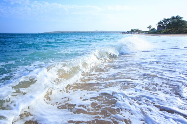 Fale oceanu rozbijające się na piaszczystej plaży fale morskie łamiące się na brzegu przyroda rozpryskująca się w letni dzień fale morskie