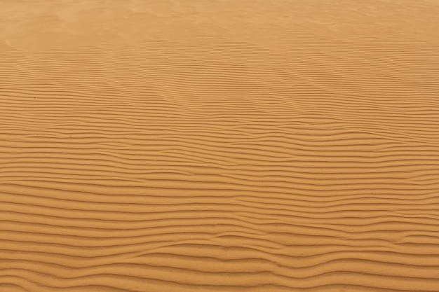 Fale piasku tekstury Wydmy pustyni