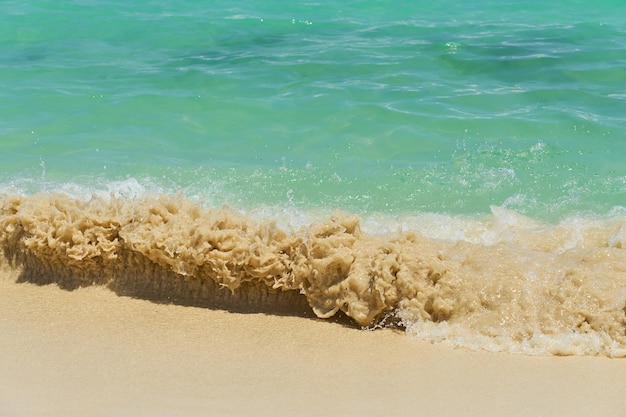 Zdjęcie fale z pianą na wybrzeżu karaibów w meksyku