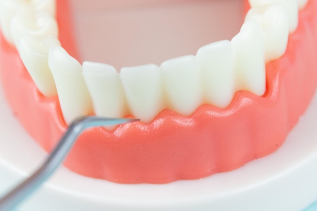 Fałszywe zęby szczęki Instrumenty dentystyczne i koncepcja kontroli higienistki dentystycznej Regularne kontrole są niezbędne dla zdrowia jamy ustnej Narzędzia ortodontyczne system wsporników zębów