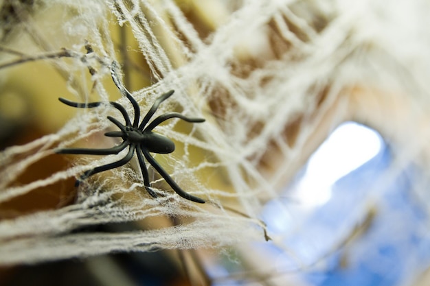 Zdjęcie fałszywy pająk wplątany w syntetyczne pająki do dekoracji halloween