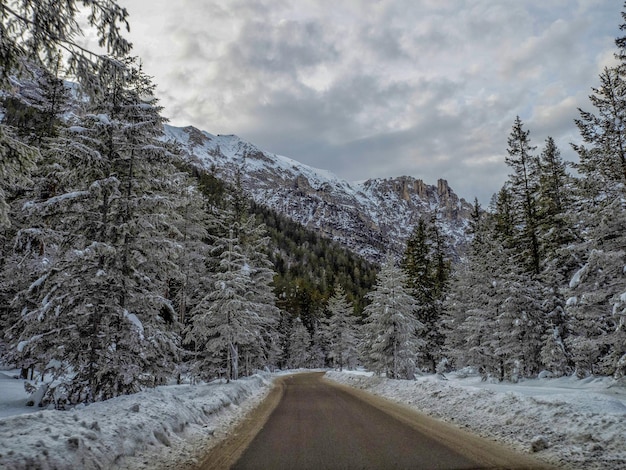 Fanes górskie dolomity lodowaty las w zimnej panoramie