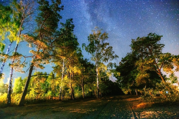 Fantastyczny Zimowy Deszcz Meteorów I Ośnieżone Góry.