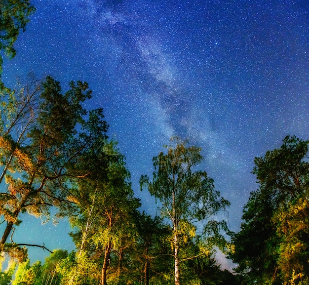 Fantastyczny Zimowy Deszcz Meteorów I Ośnieżone Góry.