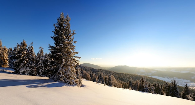 Fantastyczny zimowy krajobraz Błękitne niebo Karpaty Ukraina Europa Piękno świata