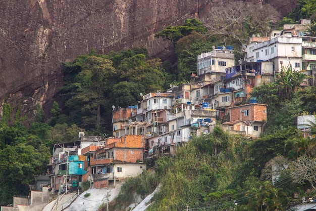 Farma slumsów w Rio de Janeiro