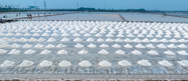 Farma soli morskiej w Tajlandii Sól solankowa Surowiec do produkcji soli przemysłowej Odparowanie chlorku sodu