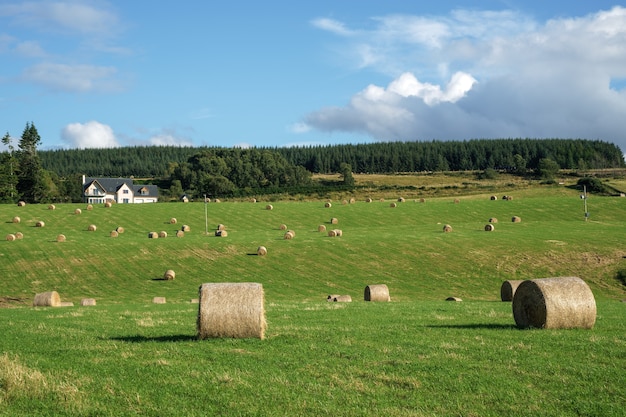 Farma w pobliżu Culloden