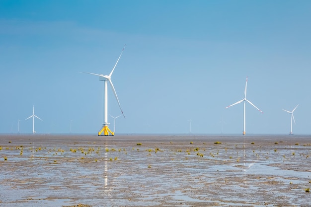 Farma wiatrowa na pływowych płaskich terenach podmokłych z tłem czystej energii zamglenia pogody