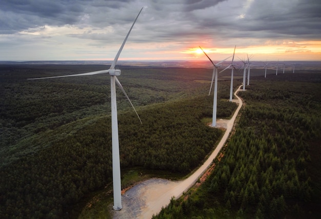 Farma Wiatrowa Turbiny Na Piękny Krajobraz Lasu O Zachodzie Słońca. Produkcja Energii Odnawialnej Dla Zielonego Ekologicznego świata. Widok Z Lotu Ptaka Wiatraków Gospodarstwa Rolnego Park Na Wieczór Górze.