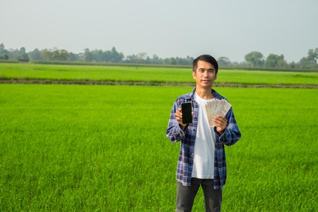 Farmer stojący z smartfonem i banknotem na zielonej farmie ryżowej