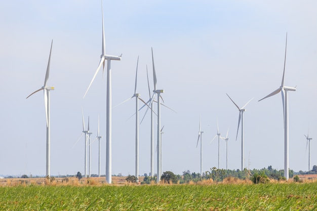 Farmy Wiatrowe Turbiny Na Wzgórzu. Wytwarzanie Energii Elektrycznej W Tajlandii