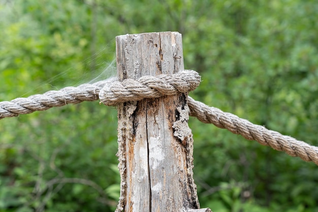 Zdjęcie fencepost z liną na ścieżce w lesie