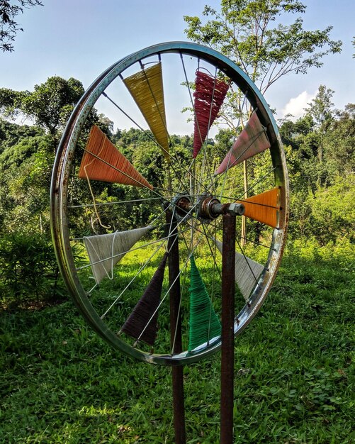 Zdjęcie ferris wheel przez drzewa na polu przeciwko niebu